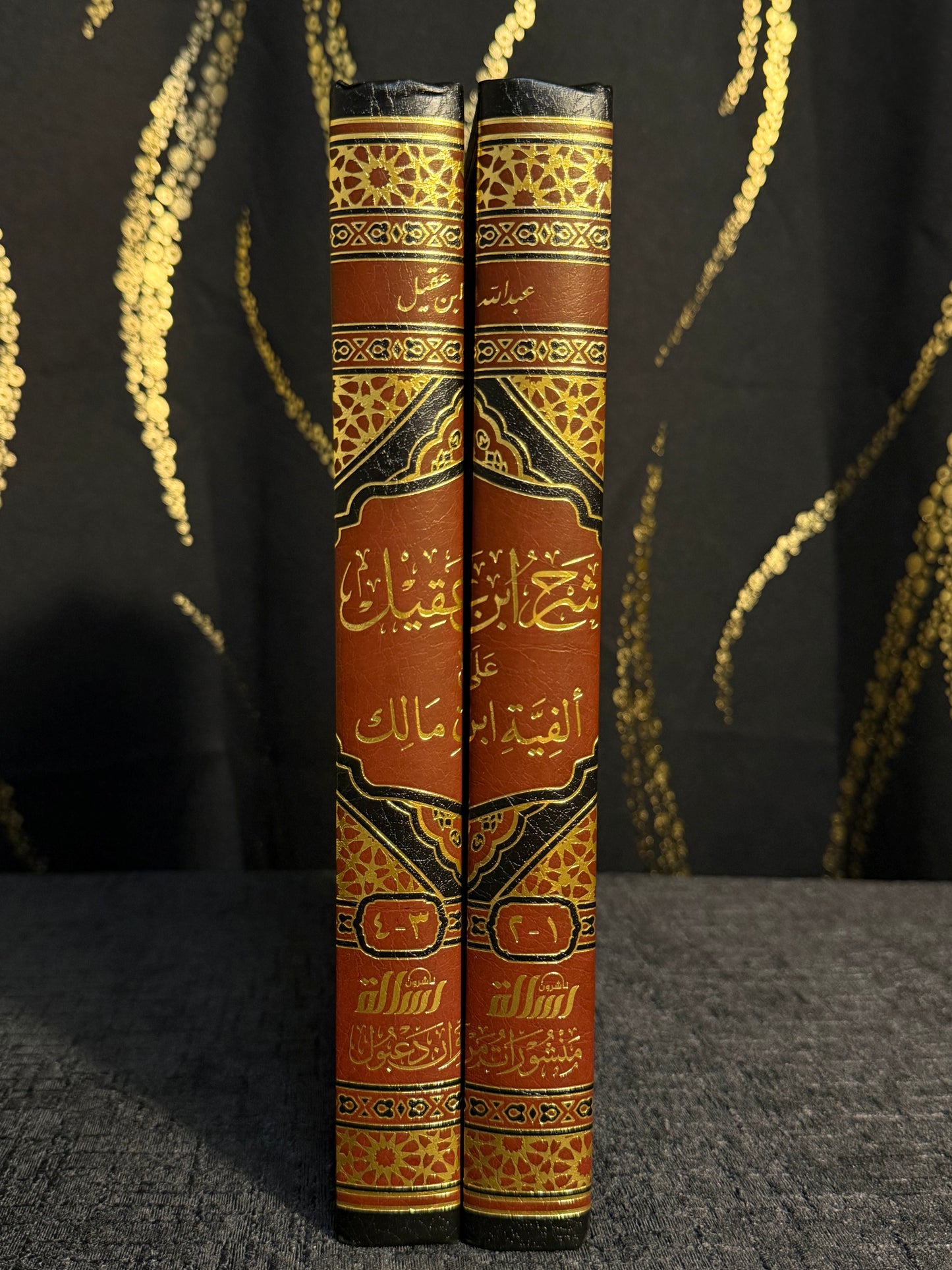 شرح ابن عقيل على ألفية ابن مالك 1/2